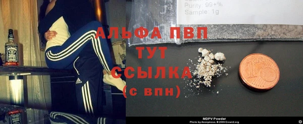 индика Лабытнанги