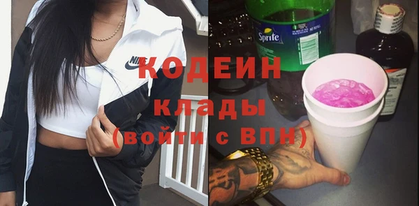 индика Лабытнанги