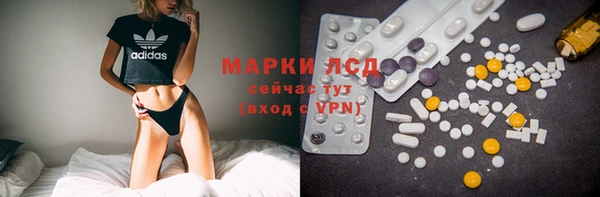 индика Лабытнанги