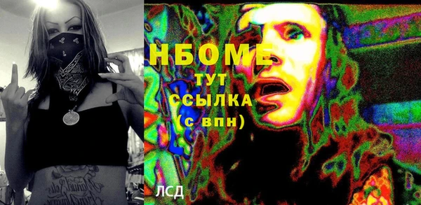 индика Лабытнанги