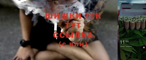 индика Лабытнанги