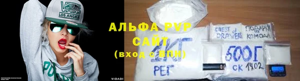 индика Лабытнанги