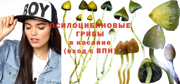 мескалин Лагань