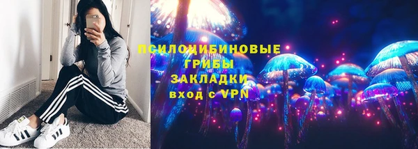 спайс Ладушкин