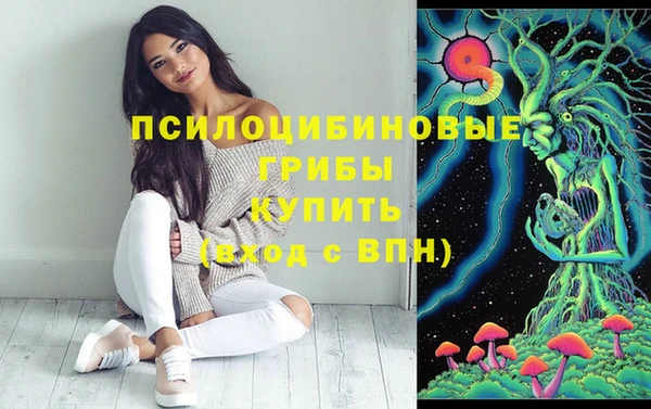 мдпв Лихославль
