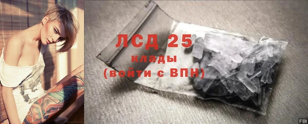 спайс Ладушкин